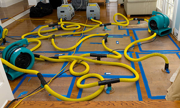 Professional Water Extraction technician working in Menasha, WI